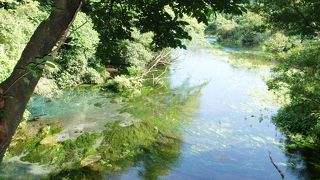 富士の湧水河川　柿田川