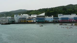 世界屈指の規模を誇る鳥羽水族館