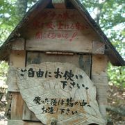 手軽に白神山地を感じる！！