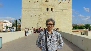 ローマ橋を渡りカラオラの塔から眺めるメスキータもまた、素晴らしいの一言です。