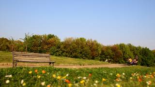 目印は太陽の塔！