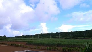 絶品マンゴーパフェ