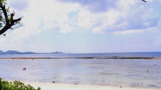 シュノーケルポイント