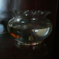 金魚鉢に金魚。風水でしょうか？？