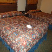 部屋に戻るとタオルアートの自動車が・・・何と可愛らしい！