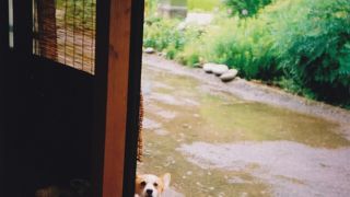 こじんまりとした合掌造り集落