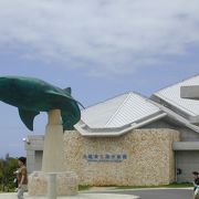 素晴らしい水族館