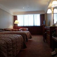 部屋は広いです。一人掛けソファ、二人掛けソファがありました。