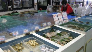 よしうみいきいき館☆今治からすぐ