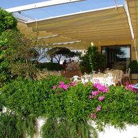 テラスにはお花もたくさん