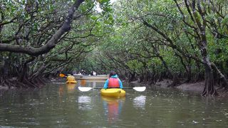 地球の息遣いを感じられたカヌー体験
