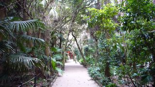 南国と神社の意外な組み合わせ?!