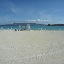 ﾊﾟﾗｿﾙとﾃﾞｯｷﾁｪｱ。