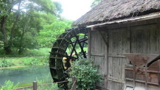 北アルプスの麓ののびやかな田園風景♪