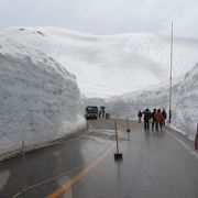 室堂でやっている雪の大谷