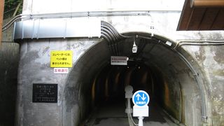 夕方狙っていくと