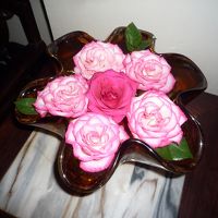 部屋の中にかざられたお花。きれい。