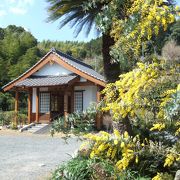 心静かに手を合わせれば鳥の歌声が聞こえてくるお寺です！