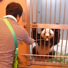 おやつちょうだい