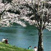 愛知県の三河地区の桜の名所、桜淵公園の紹介です。