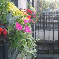 綺麗にハンギングが飾られています。