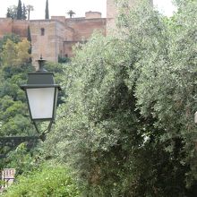 途中の小路から見えるアランブラ