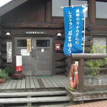 こちらがはまなす