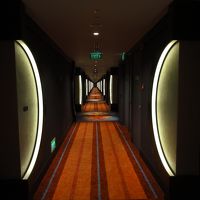 廊下はこんな感じ