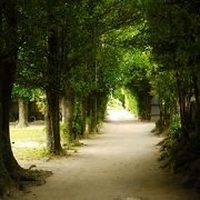 これが見たかった！沖縄の原風景