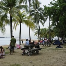 ヤシの木や熱帯植物が茂る遊歩道沿い。地元の人も多数。