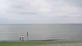 遠浅のビーチなので小さい子供は安心♪　坂井海水浴場