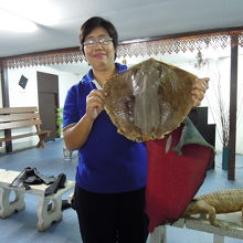 エイの皮製品をゴリ押し