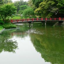 三重県下最大規模の菖蒲園がある亀山公園