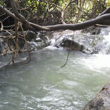 極上の天然温泉