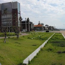 港沿いの散歩道