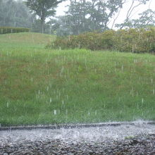 雷雨