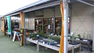 駅前は　ひっそりしてる　甲斐大泉駅