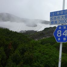 雪渓でスキーやってる人がいました。