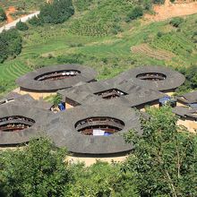 緑に囲まれた田螺坑土楼群