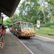 トラム。一日乗り放題で大人S$5、子供S$3。