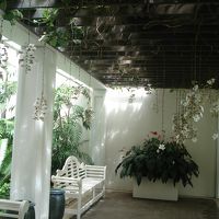 1日4回以上来てた(笑)