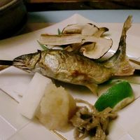 もちろん、庄川のあゆも♪