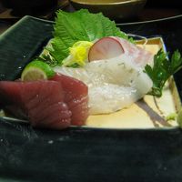 お刺身美味しかったです。