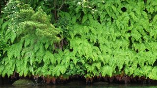 期待を裏切らない絶景です。