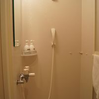 シャワーだけ。でもトイレは別なので、ちょっと嬉しい。