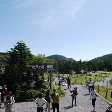 坪庭の景色