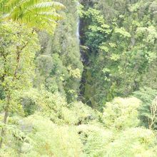 時間の経過を忘れ去る景観