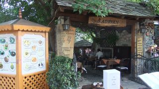 【ボスニア料理】 ～ボスニアの代表的なメニューが勢ぞろいするオープンエアーな雰囲気のレストラン～