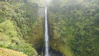 滝が離れた場所（連絡通路でつながっている）に２本有り道すがらハワイの自然、植物が織りなす絶景を堪能出来るポイント