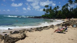 ウミガメちゃんに遭遇出来る可能性大！